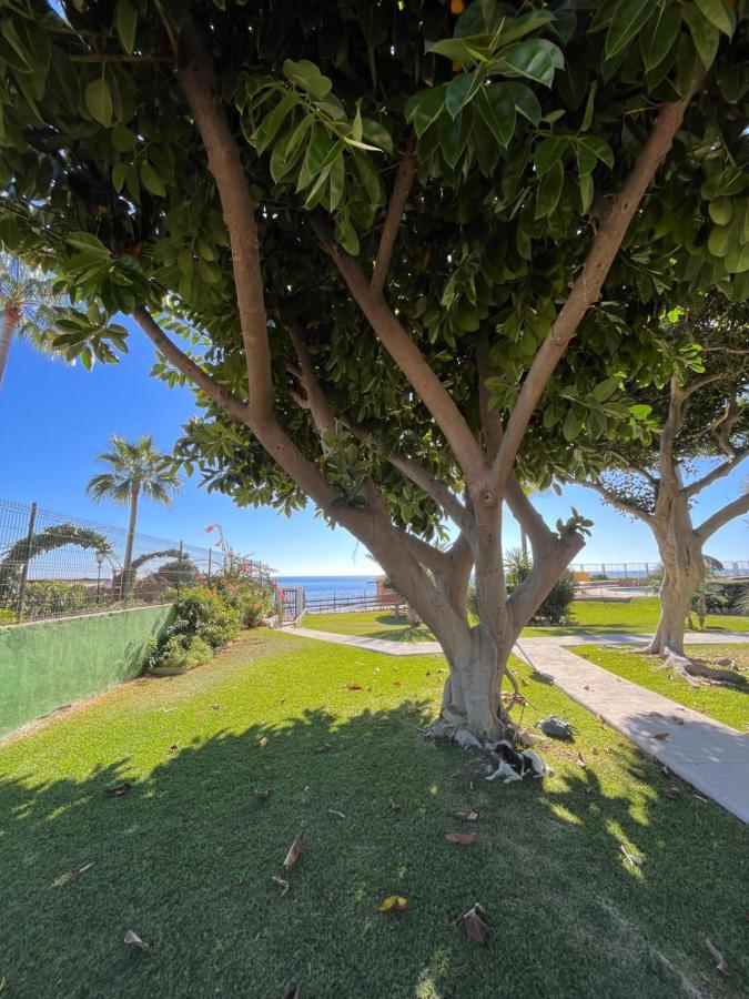 Studio On The Beach Front Malaga Exterior photo